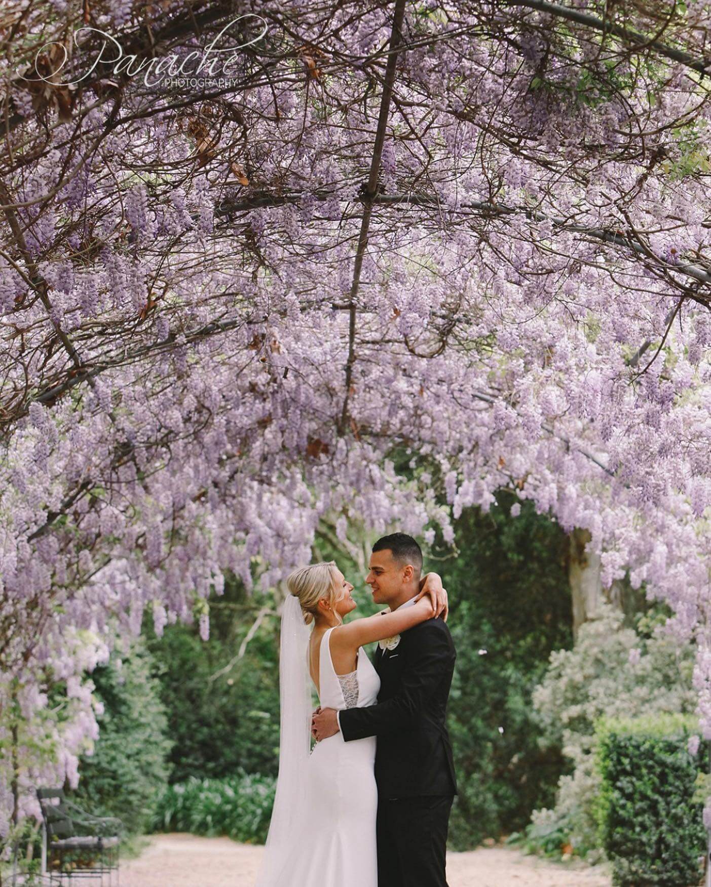 Botanic gardens wedding ceremony offer