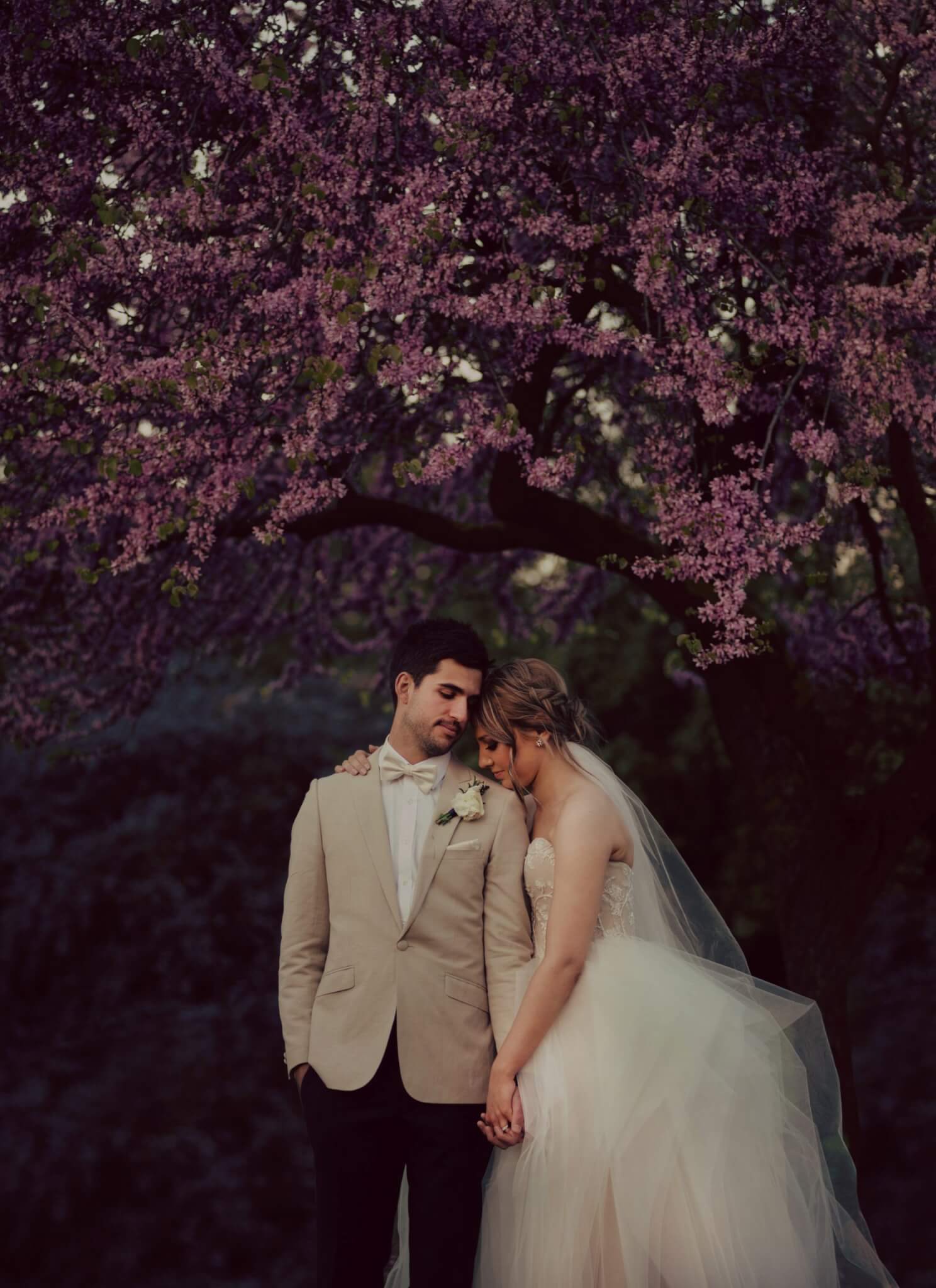 Married couple in Adelaide after there ceremony