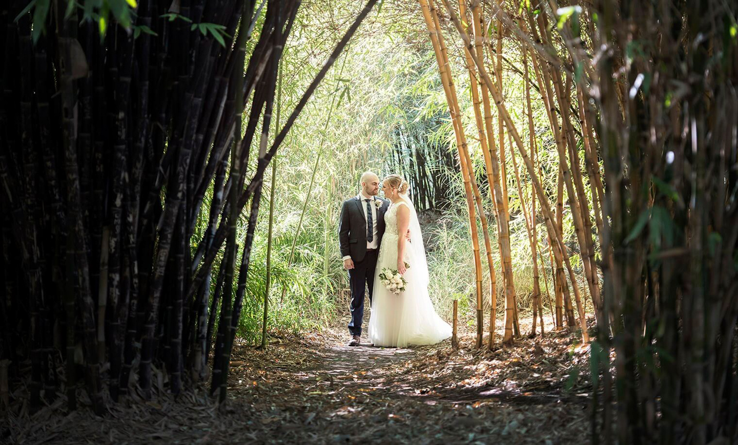 Couple at Adelaide Botanic Gardens Bamboo Forest