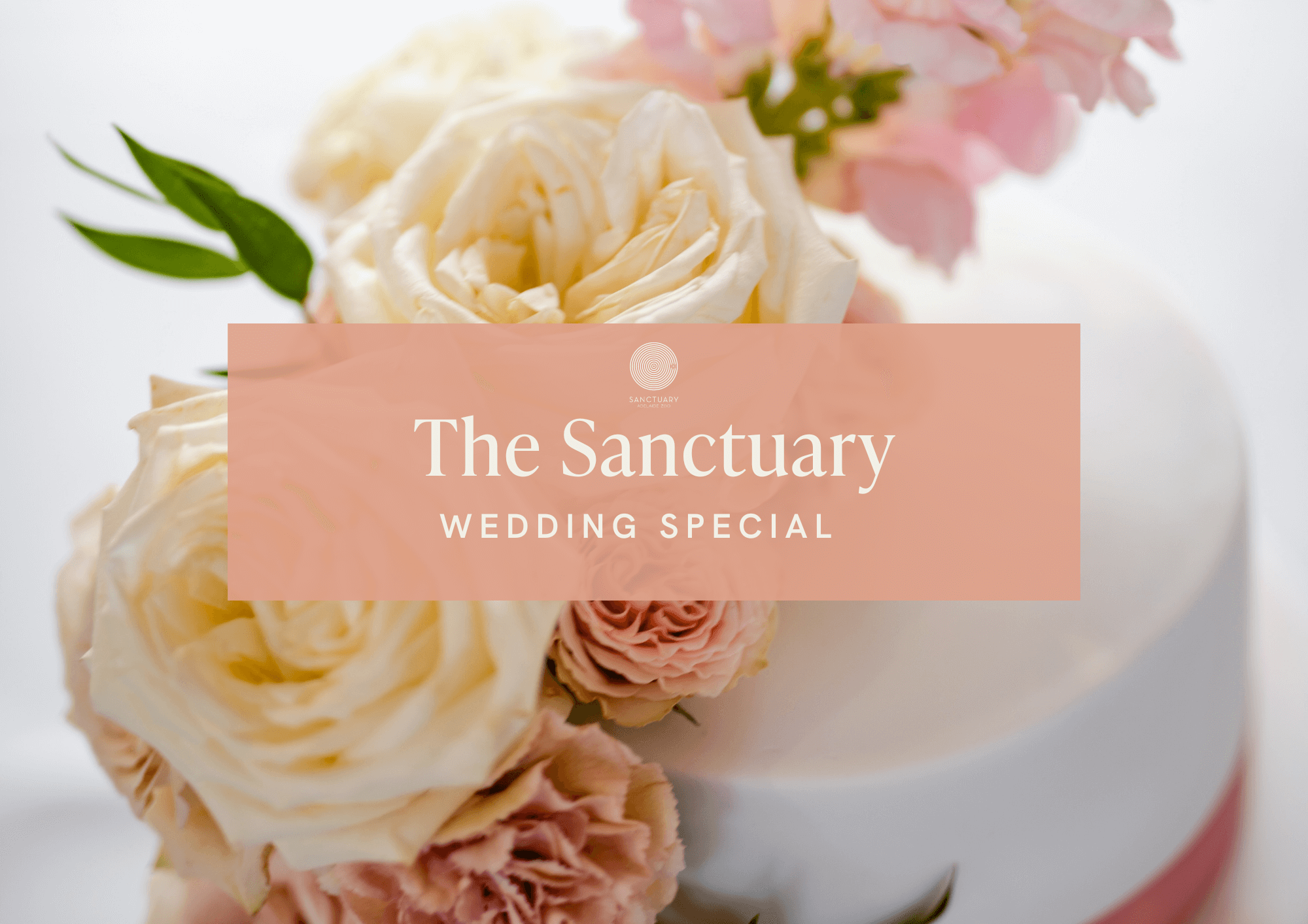 The Sanctuary Wedding Reception Special Offer